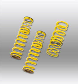 KW spring set yellow Dinli 450